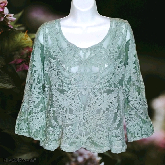 Wishlist Tops - WISHLIST Green Sheer Lace Cottagecore Pullover Top